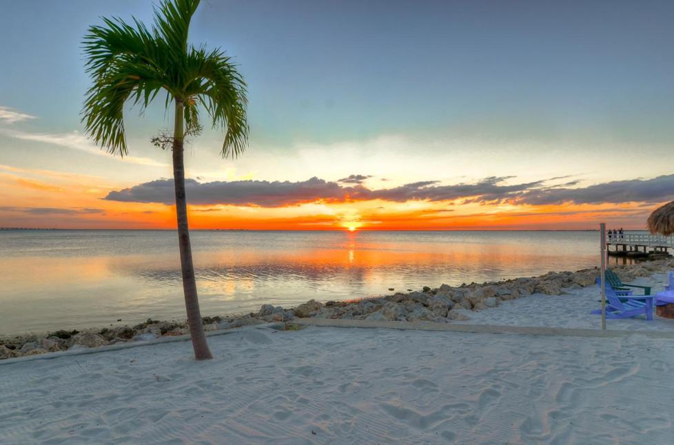 412-Amazing Views, Waterfront, Wifi, Pool, Close To Bucs Stadium Tampa Luaran gambar